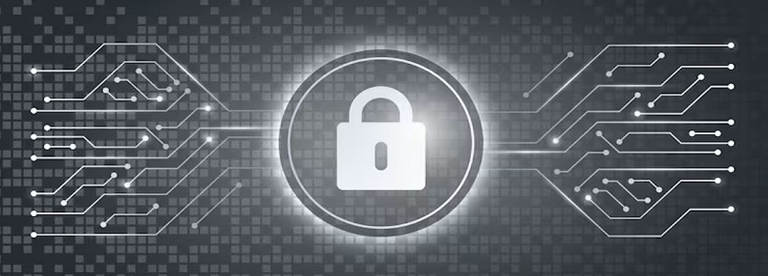 9 de cada 10 empresas españolas se consideran digitalizadas, pero menos de la mitad tiene una estrategia de ciberseguridad